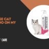 Can I Use Cat Shampoo on My Dog