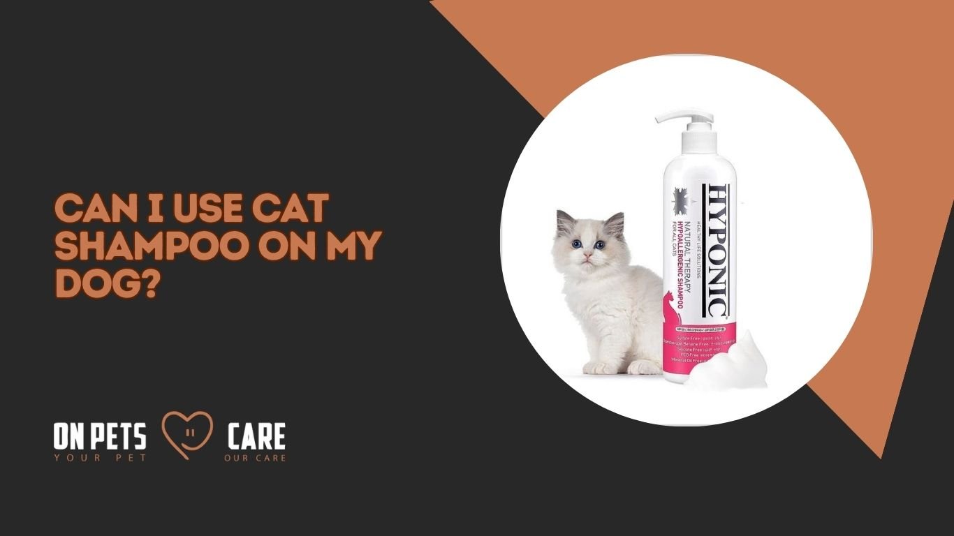 Can I Use Cat Shampoo on My Dog