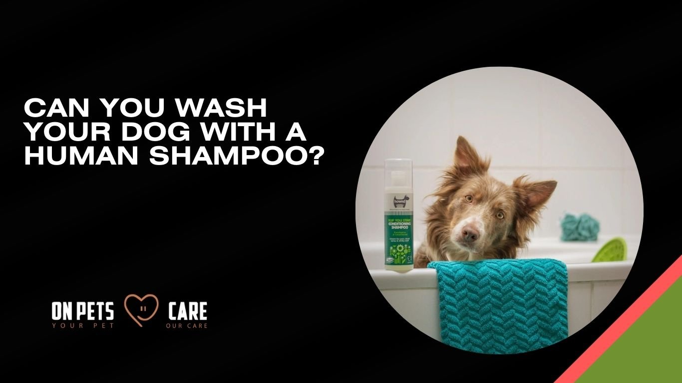 Can You Wash Your Dog With A Human Shampoo?