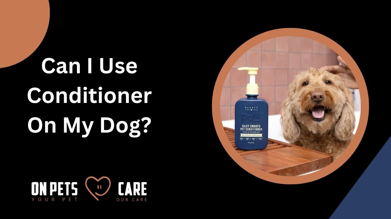 Can I Use Conditioner On My Dog