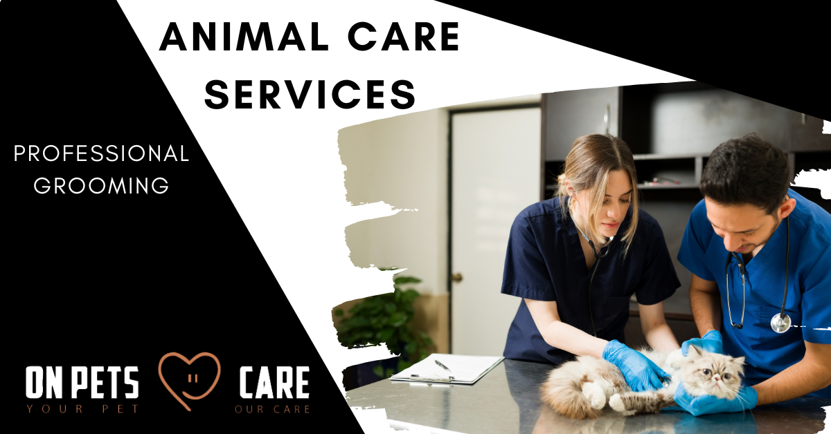 Animal Care Services