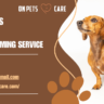 Qualities for dog grooming service