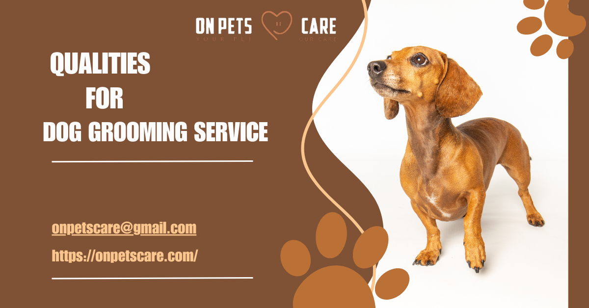 Qualities for dog grooming service