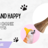 Wood Bone Toys