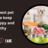 pet foods