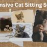 Cat Sitting Services