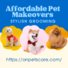 Affordable Pet Makeovers