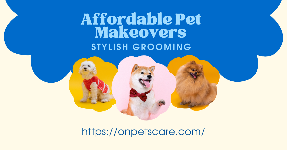 Affordable Pet Makeovers