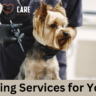 Pet Grooming Services