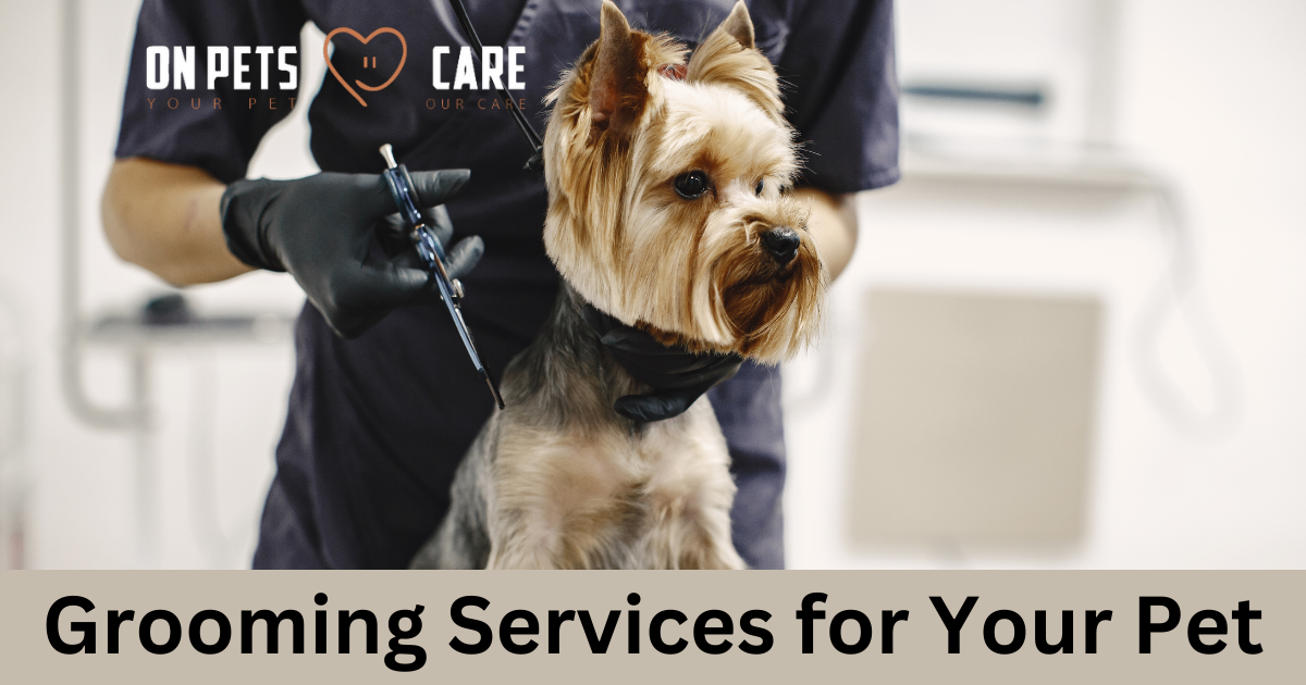 Pet Grooming Services