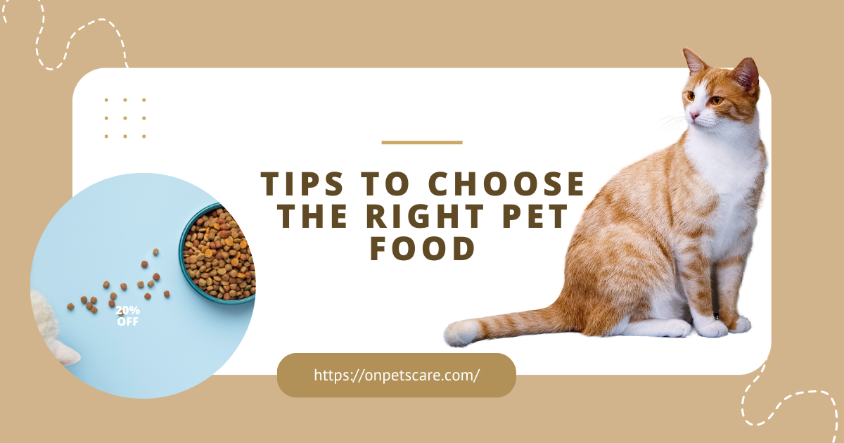 Tips to Choose the Right Pet Food