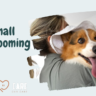 Viral small dog grooming tips