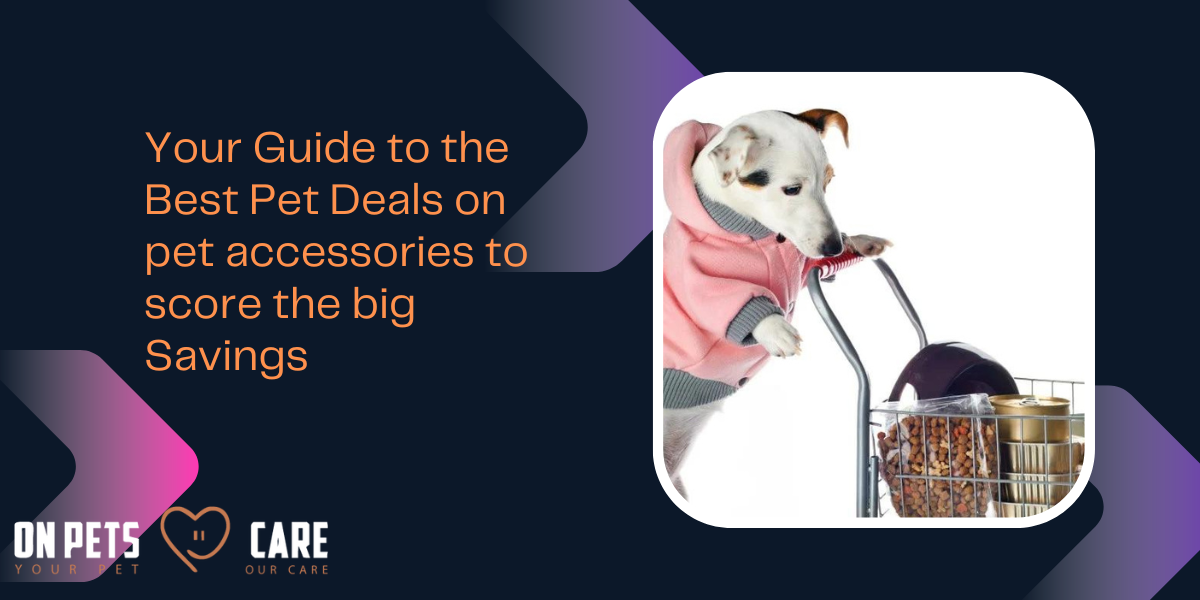 best deals on pet accessories