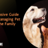 Tips for managing pet allergies