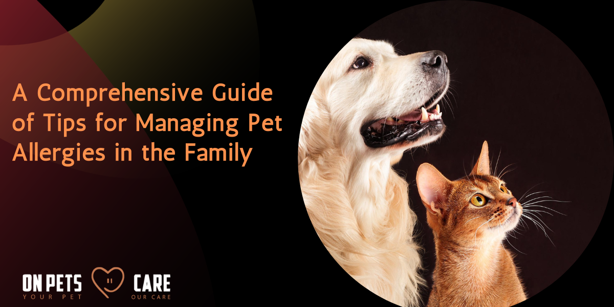 Tips for managing pet allergies