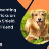 Tips for Preventing Fleas and Ticks on Your Pet to Shield Your Furry Friend