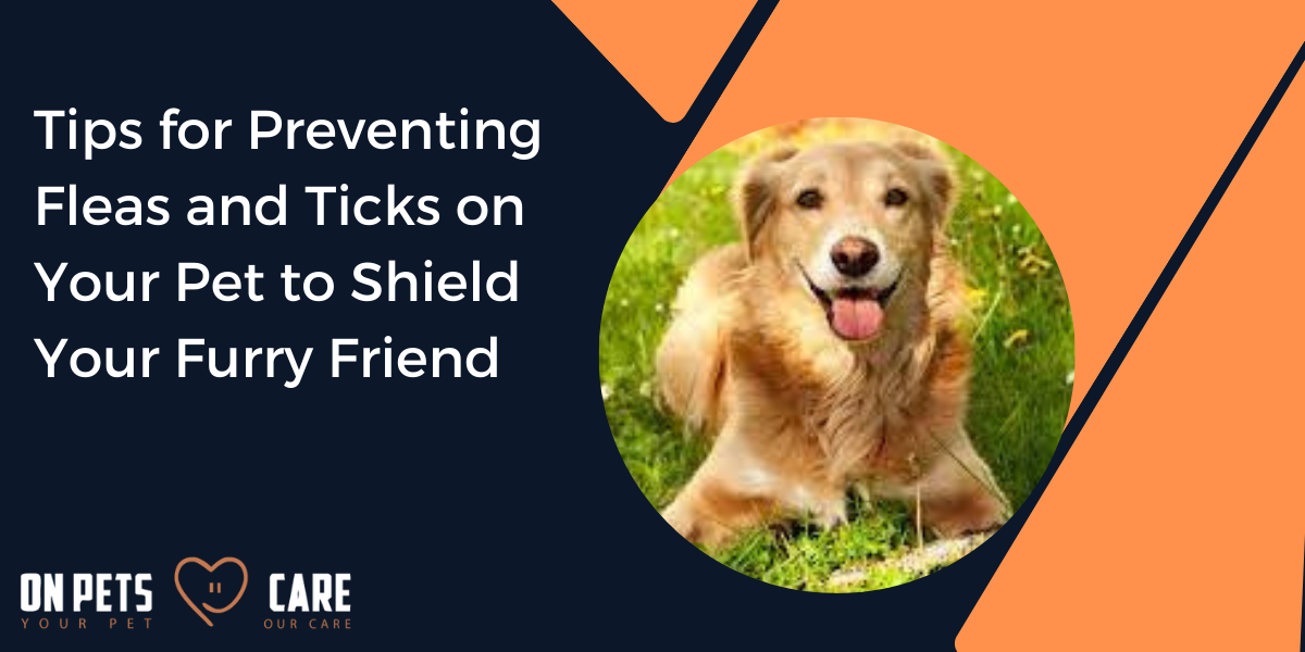 Tips for Preventing Fleas and Ticks on Your Pet to Shield Your Furry Friend