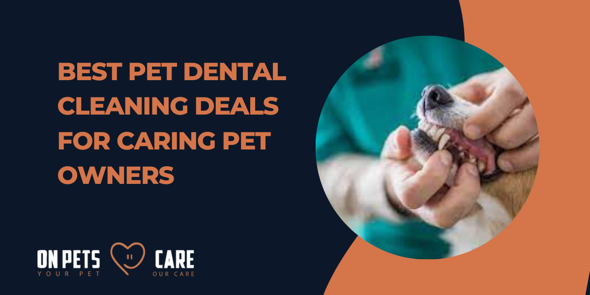 Best Pet Dental Cleaning Deals