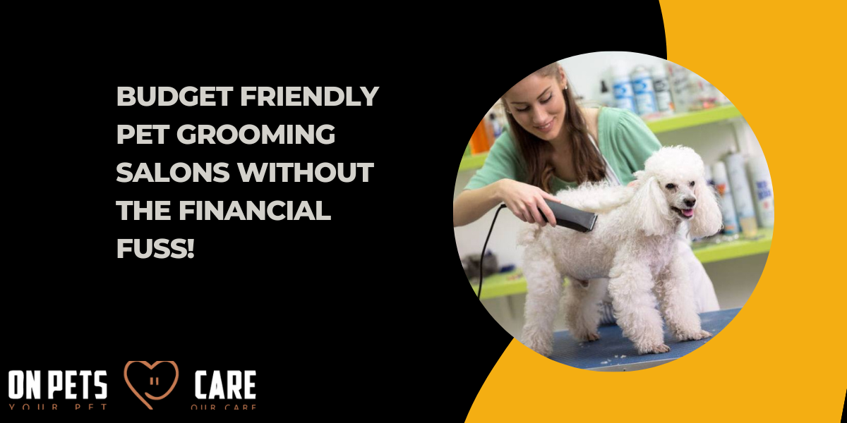 Budget-friendly Pet Grooming Salons without the Financial Fuss!