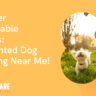 Discover Unbeatable Savings: Discounted Dog Boarding Near Me!