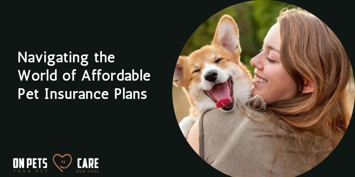 Affordable Pet Insurance Plans