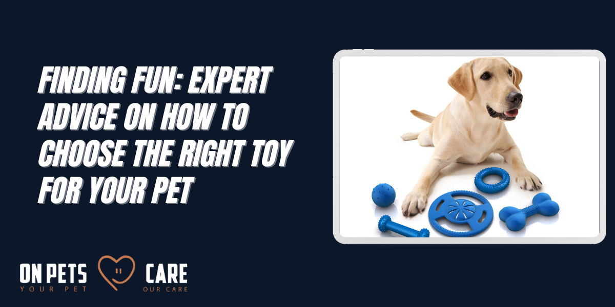 How to Choose the Right Toy for Your Pet