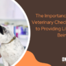 Importance of Regular Veterinary Checkups