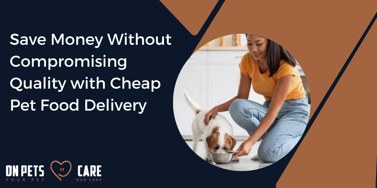 cheap pet food delivery