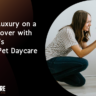 Discounted pet daycare services