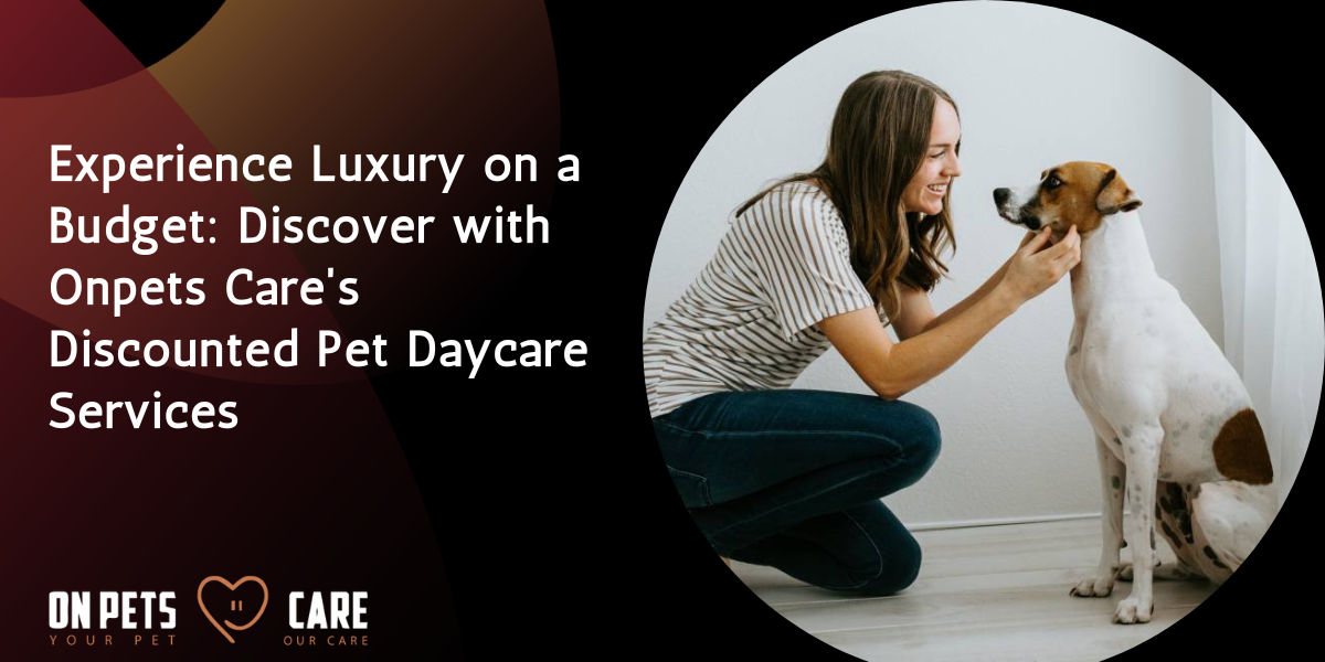 Discounted pet daycare services