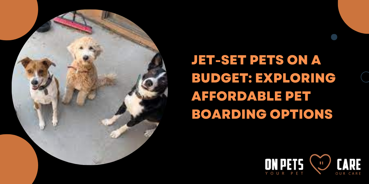 affordable pet boarding options