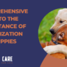 the importance of socialization for puppie