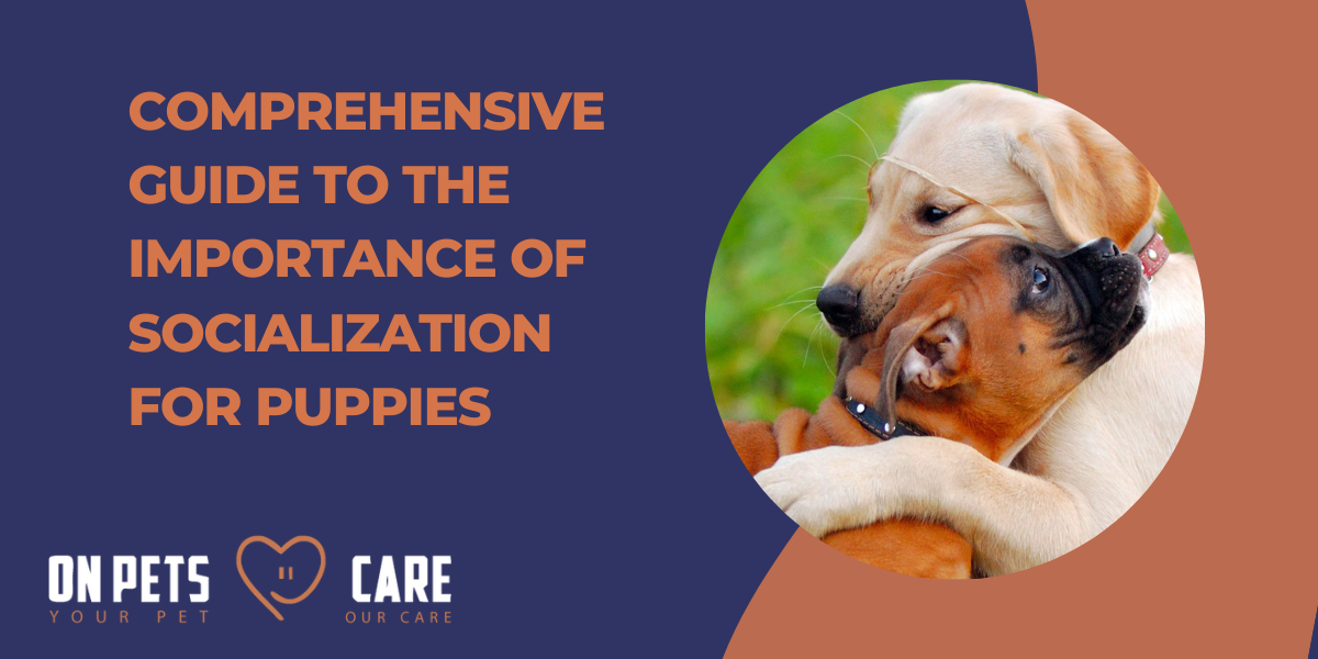 the importance of socialization for puppie