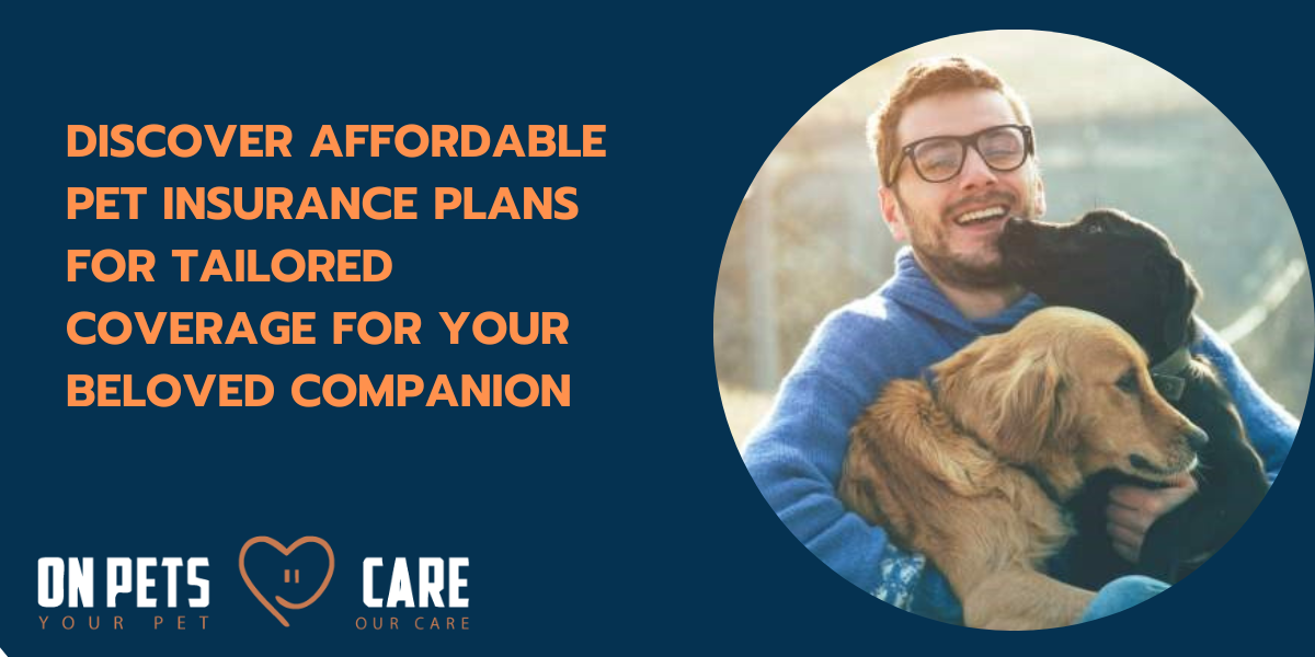 affordable pet insurance