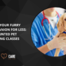 Discounted Pet Training Classes