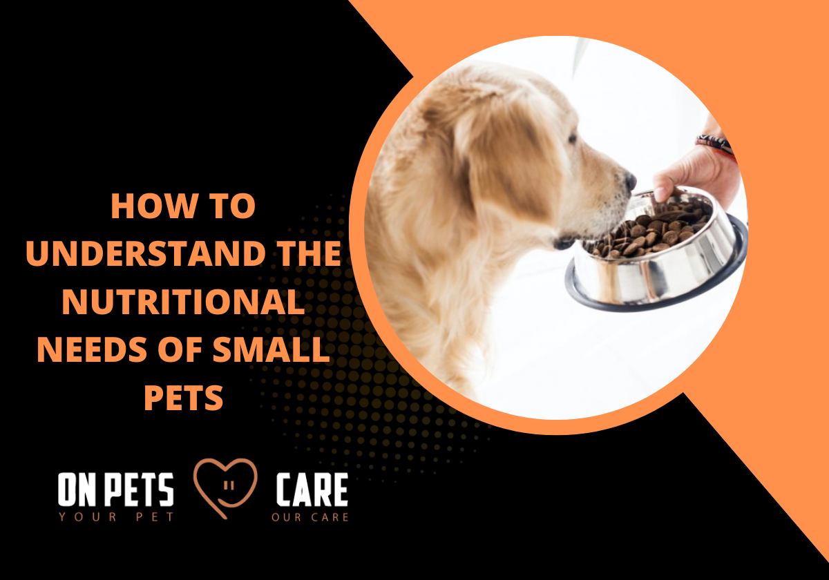 Dog nutritional requirement