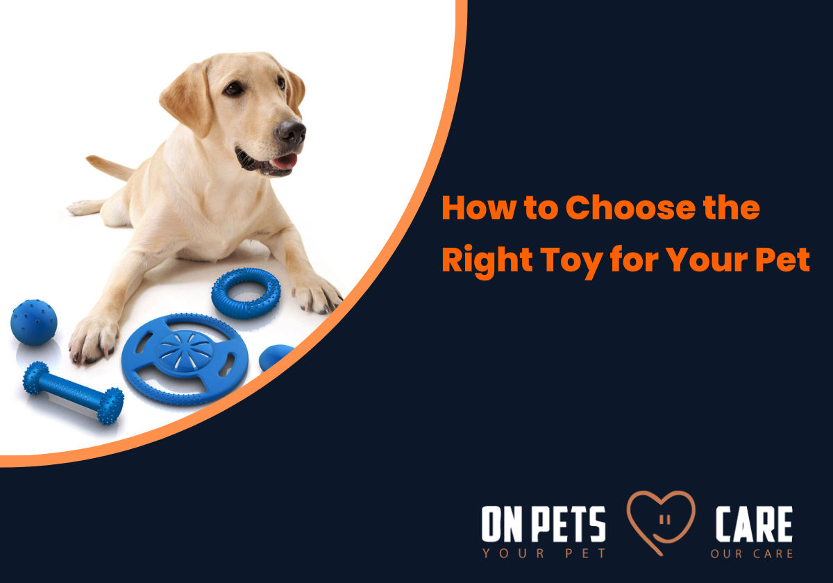 best toys for pets