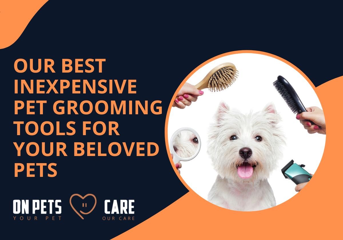 Pet Grooming Tools for Your Beloved Pets