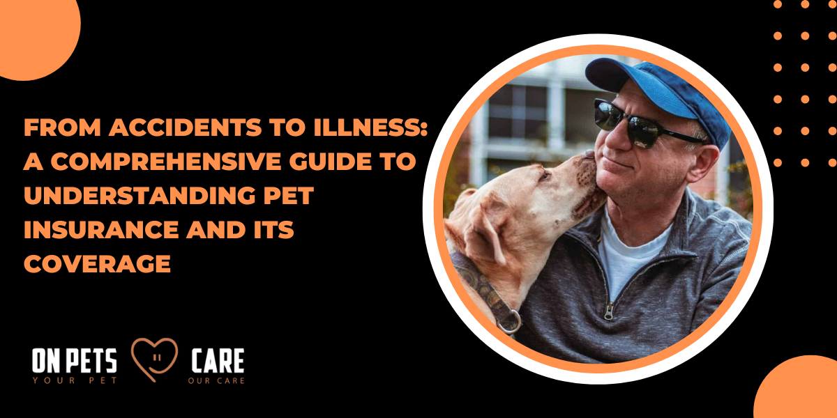 From Accidents to Illness A Comprehensive Guide to Understanding Pet Insurance and Its Coverage