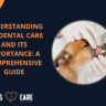 affordable dental care for dogs