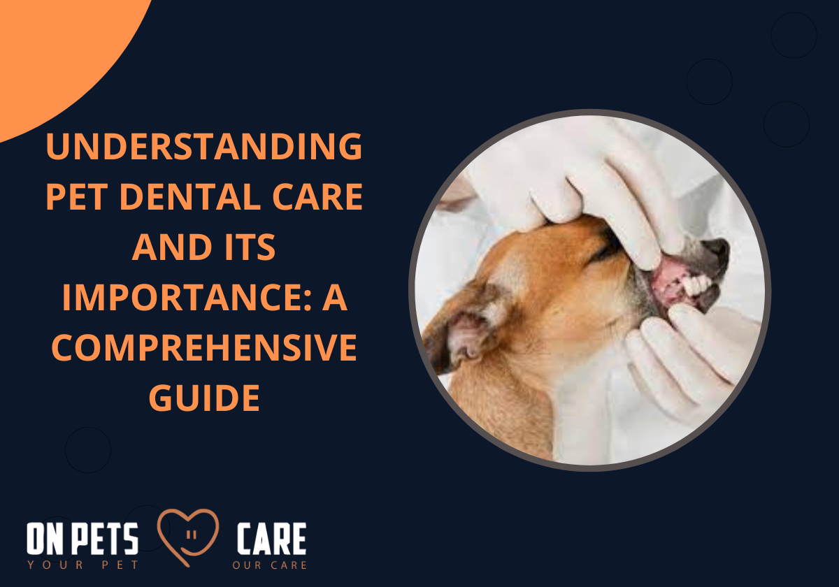 affordable dental care for dogs