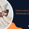 best pet dental cleaning deals