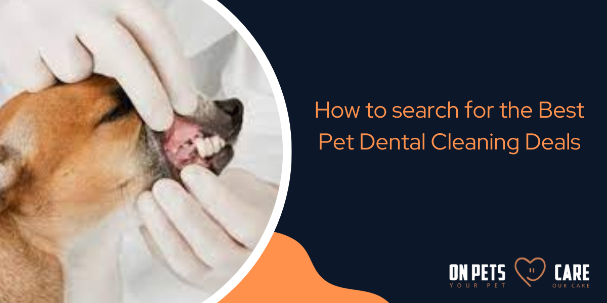 best pet dental cleaning deals