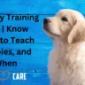 puppy training