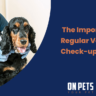 regular veterinary check-ups for pets