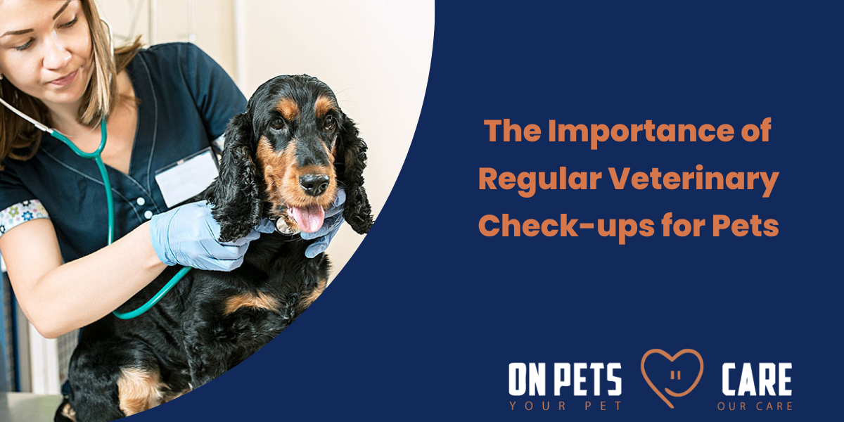 Regular Veterinary Check Ups For Pets Pets Check Ups