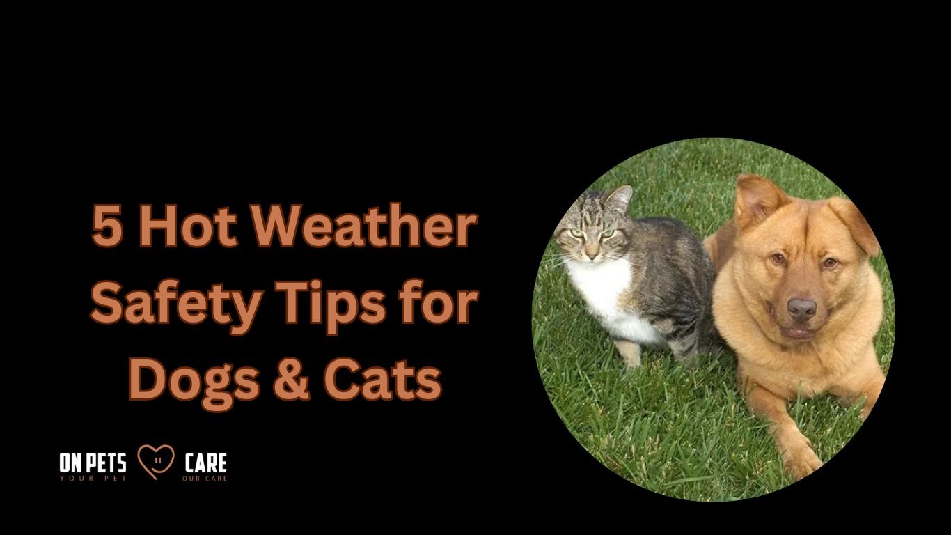 Safety Tips for Dogs & Cats