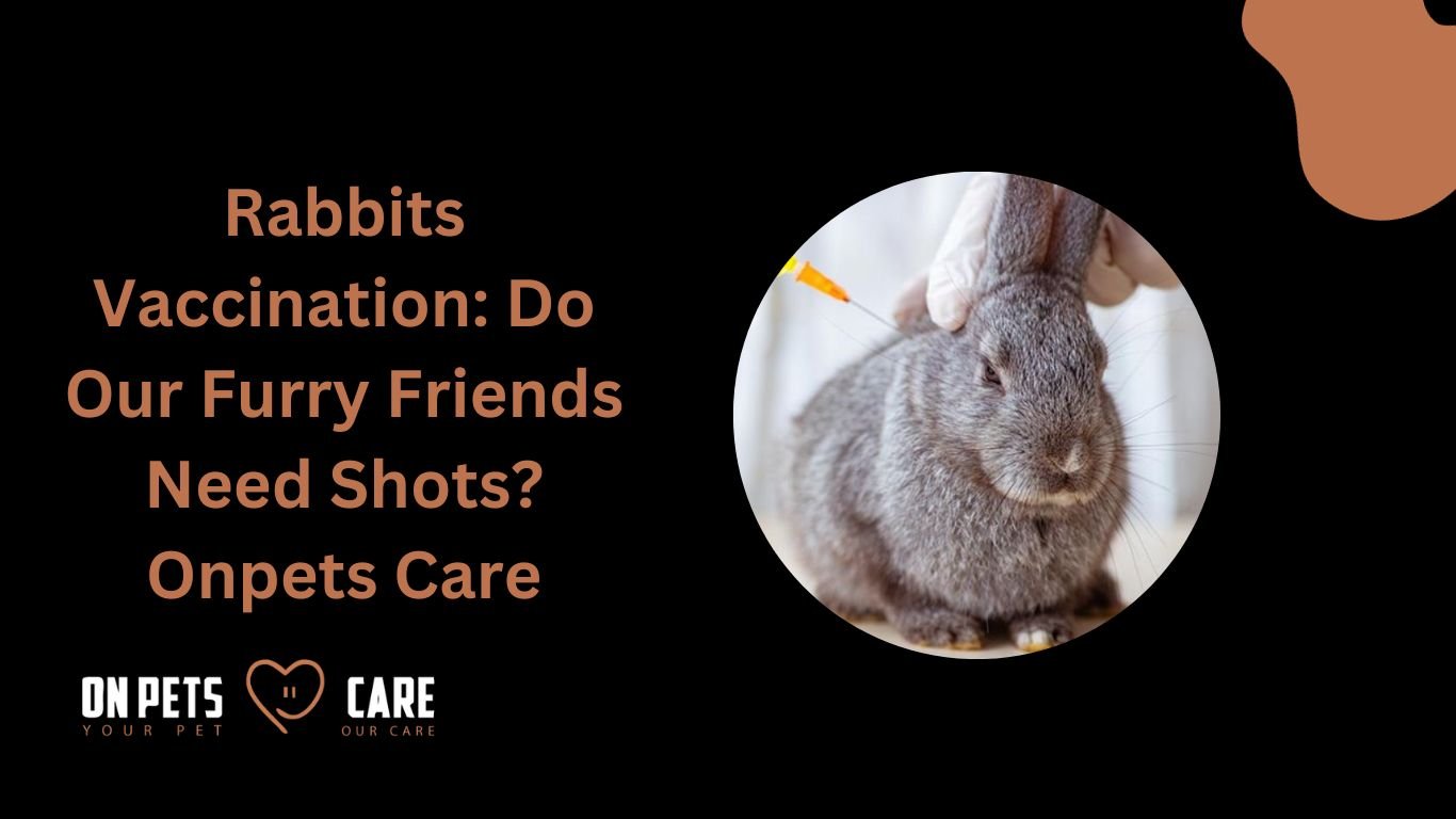 rabbit vaccination