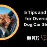 dog car sickness