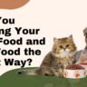 how to store dog and cat food